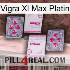 Vigra Xl Max Platinum 33